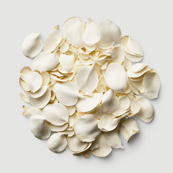 White pastel rose petal pile